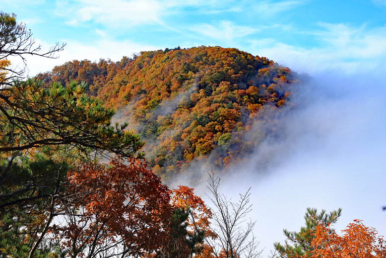 高楯地区里山