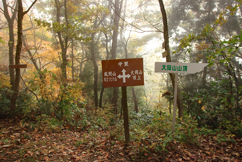 高楯地区里山