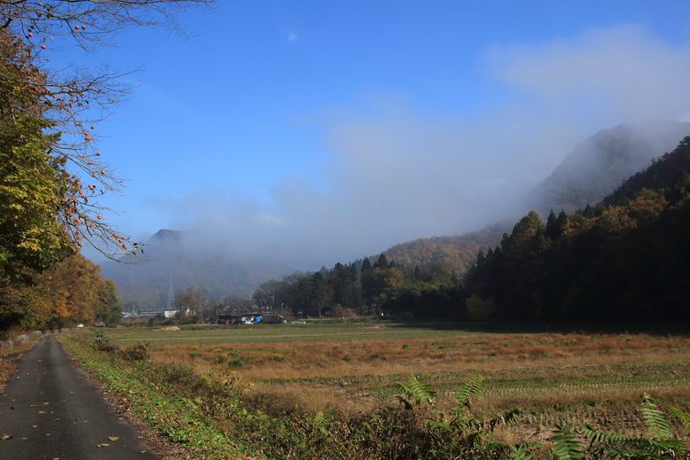 高楯地区里山