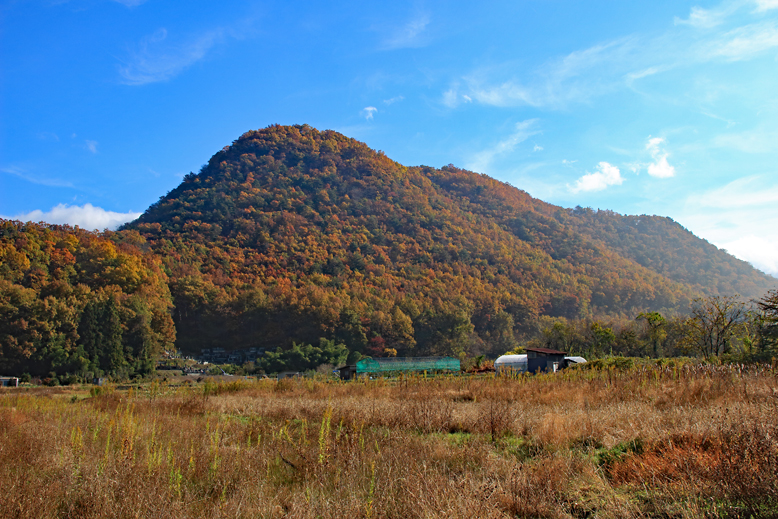 高楯地区里山