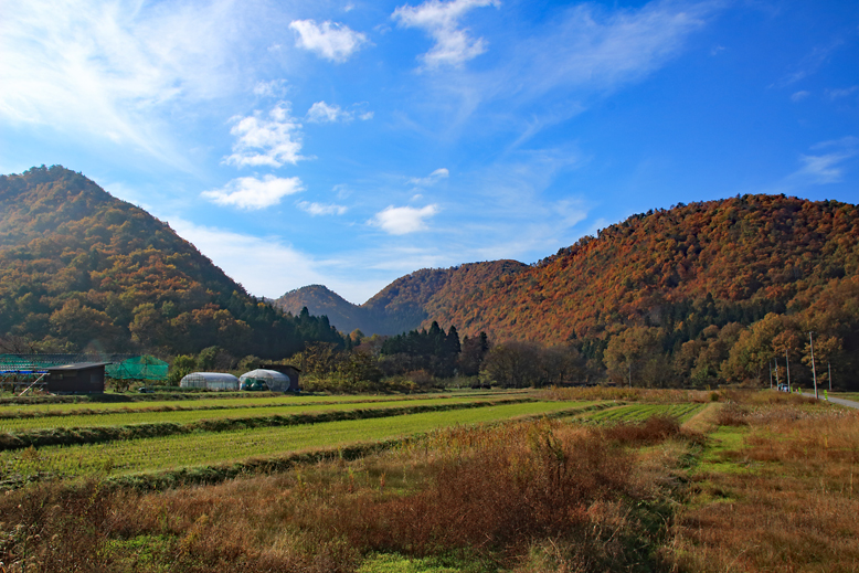 高楯地区里山