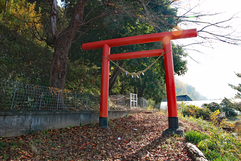 高楯地区里山