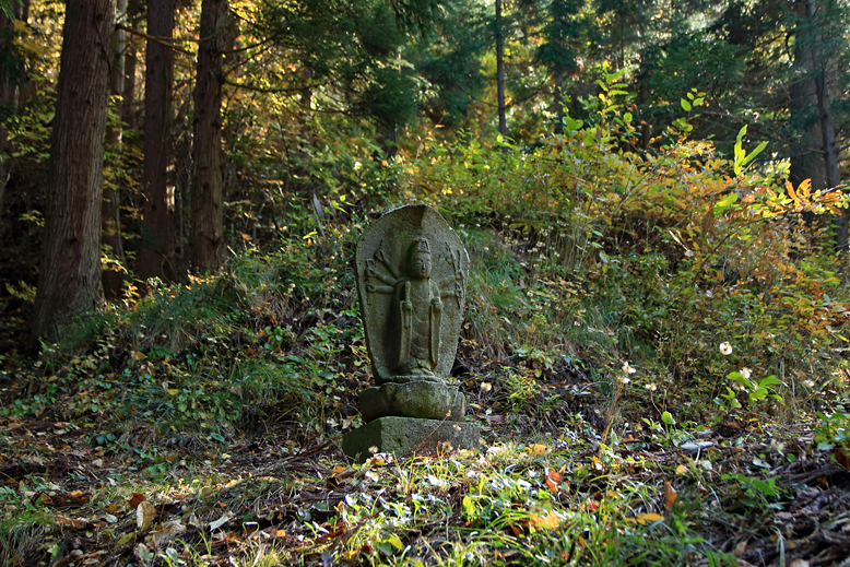 高楯地区里山