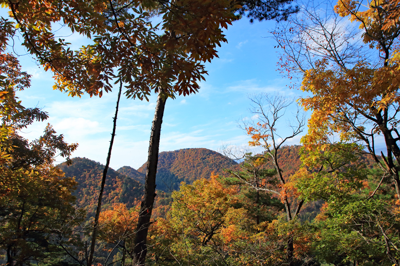 高楯地区里山