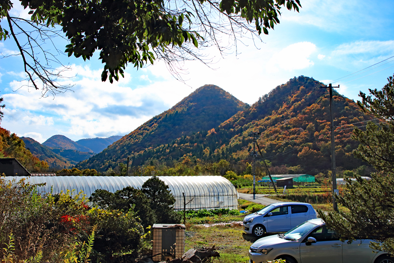 高楯地区里山