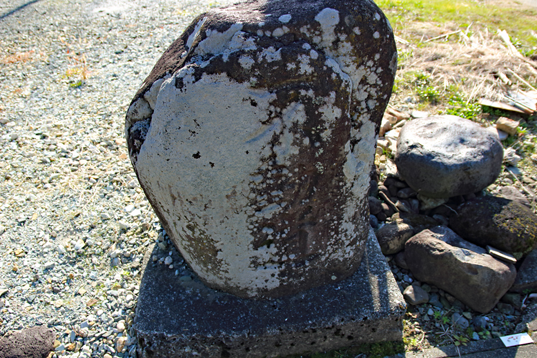 高楯地区里山