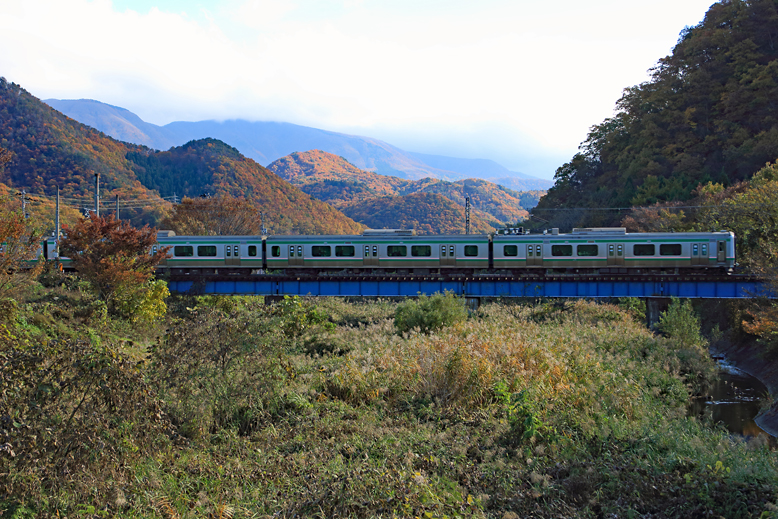 高楯地区里山
