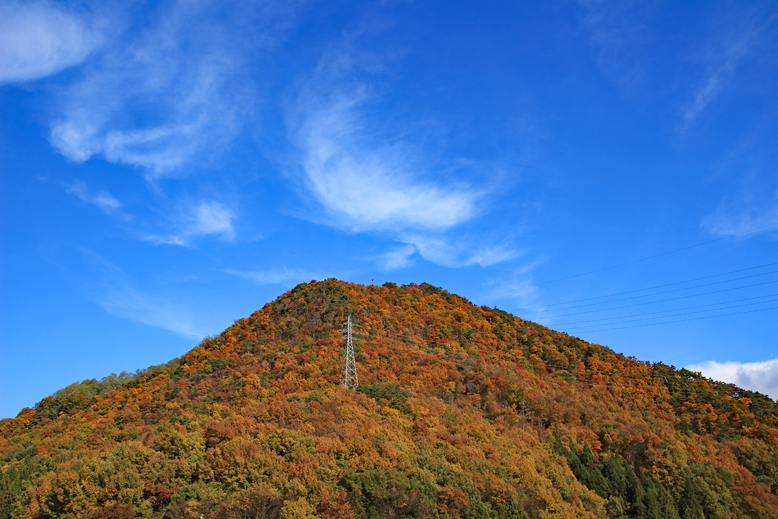 高楯地区里山