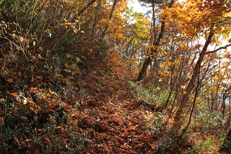 高楯地区里山