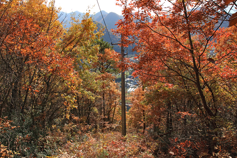高楯地区里山