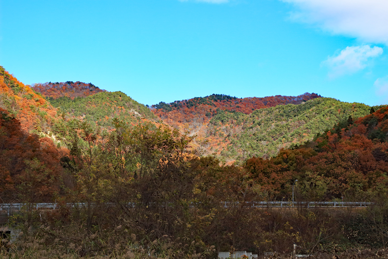 炭沢山