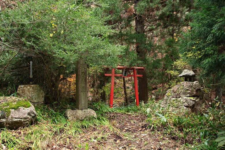 炭沢山