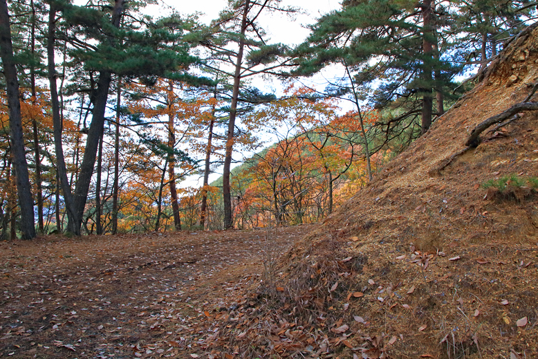 炭沢山