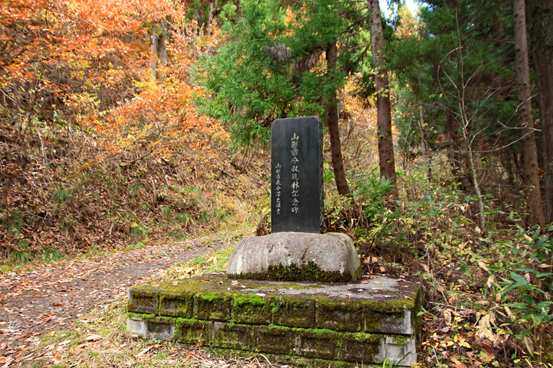 炭沢山