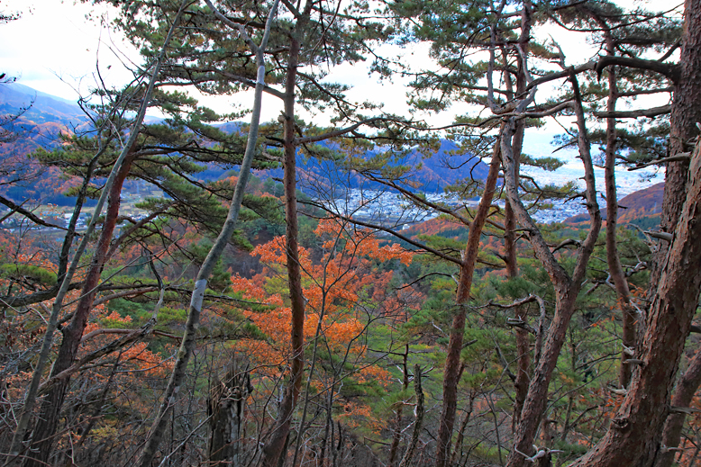 炭沢山