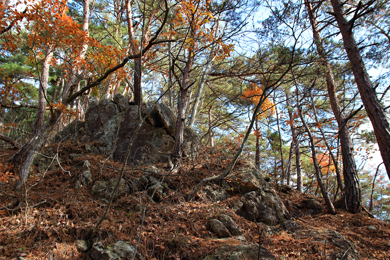 炭沢山