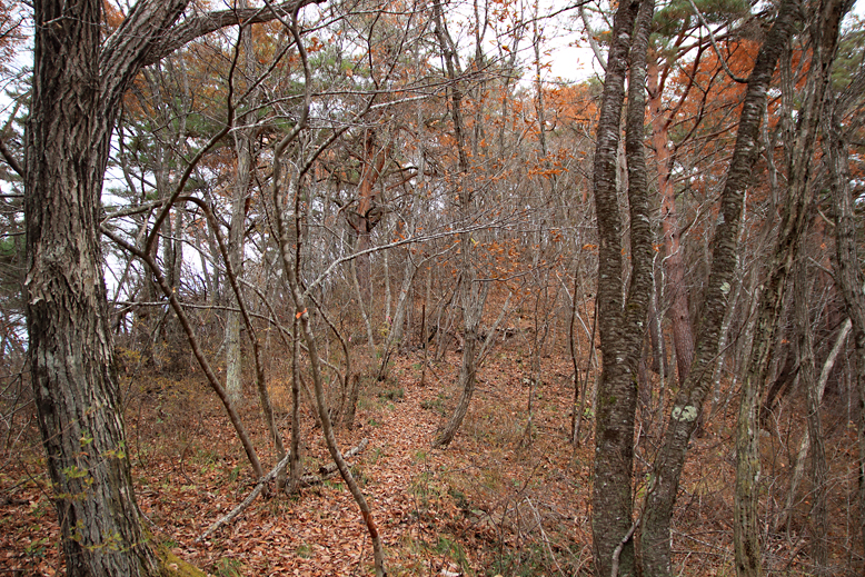 炭沢山