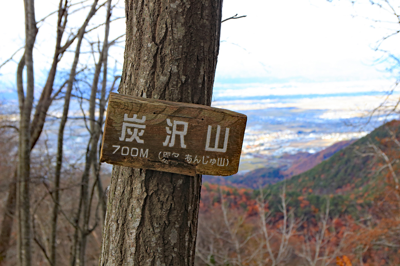 炭沢山