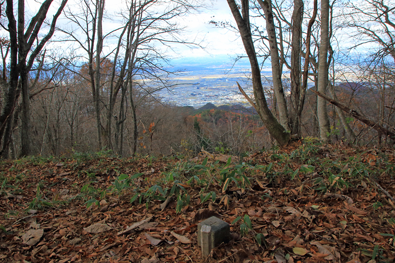 炭沢山