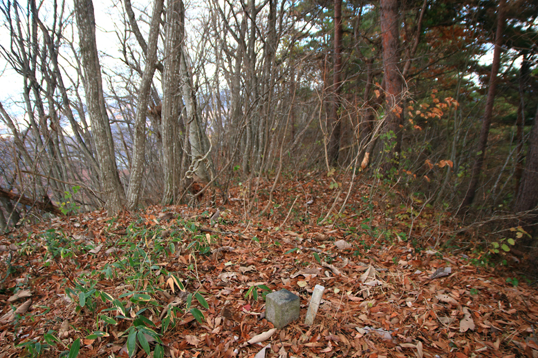 炭沢山