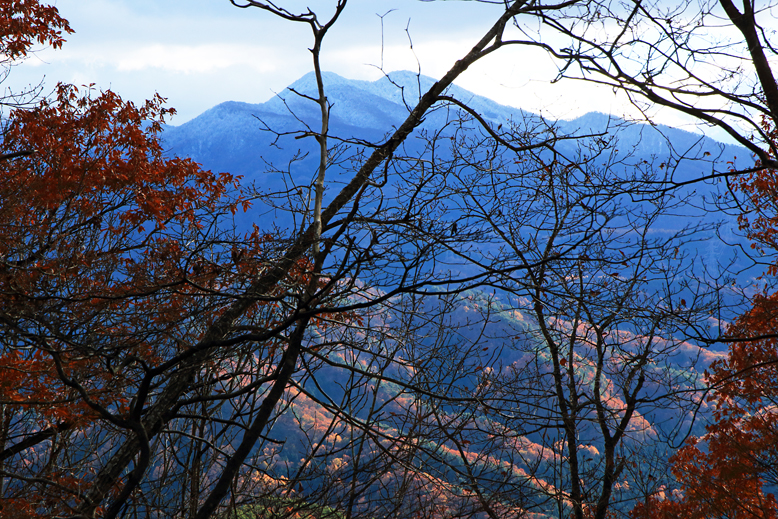 炭沢山