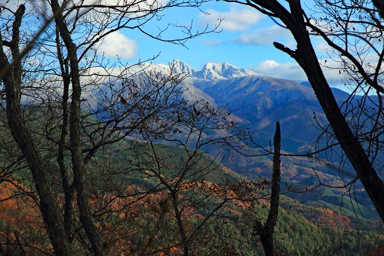 炭沢山