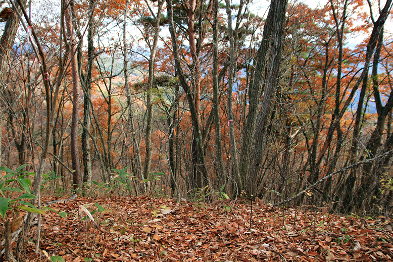 炭沢山