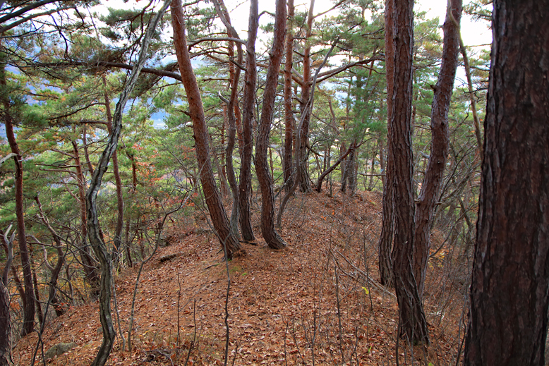 炭沢山