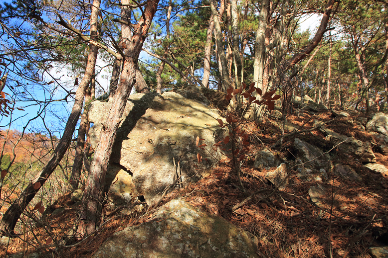 炭沢山