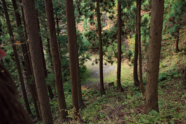 炭沢山