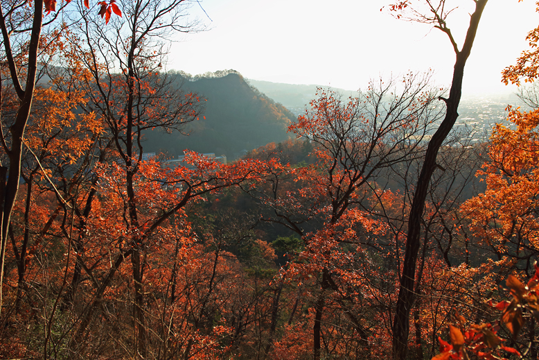 千歳山