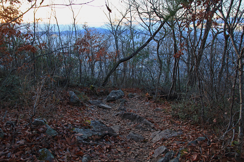 千歳山