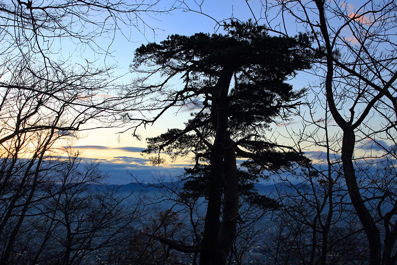 千歳山