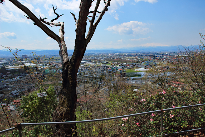 大岡山