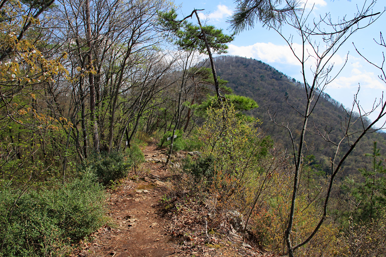 大岡山