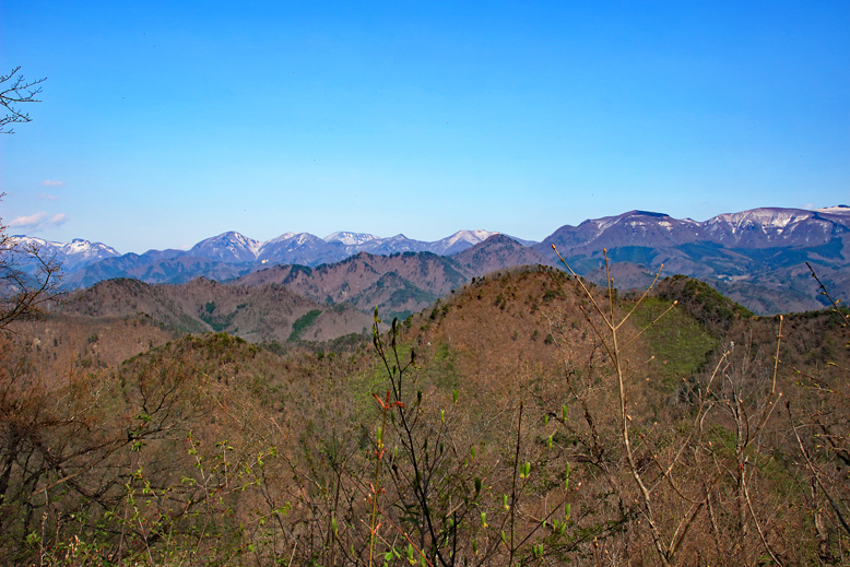 大岡山