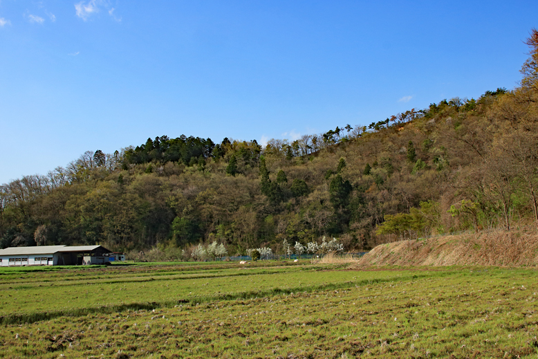 大岡山