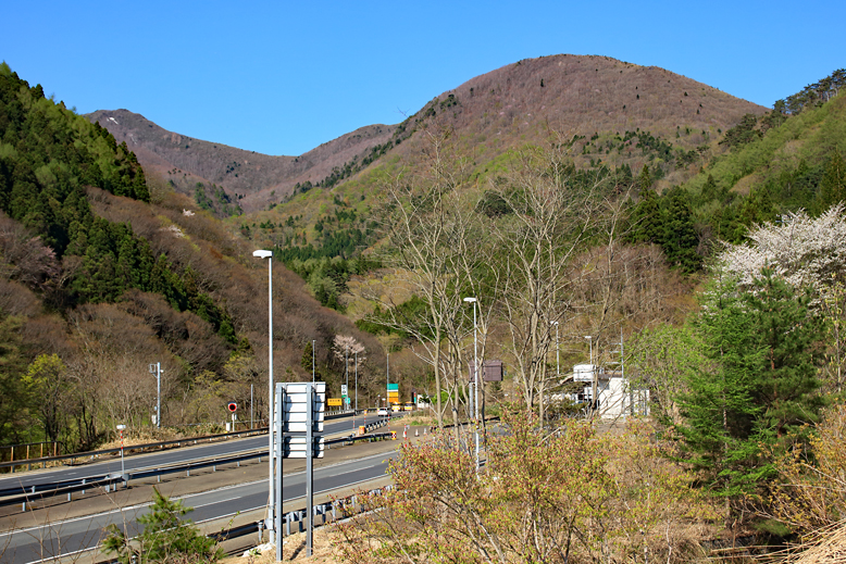 ハマグリ山