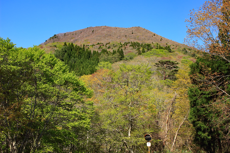 ハマグリ山