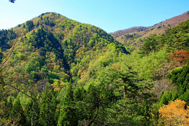 ハマグリ山