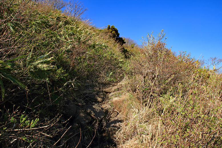 ハマグリ山