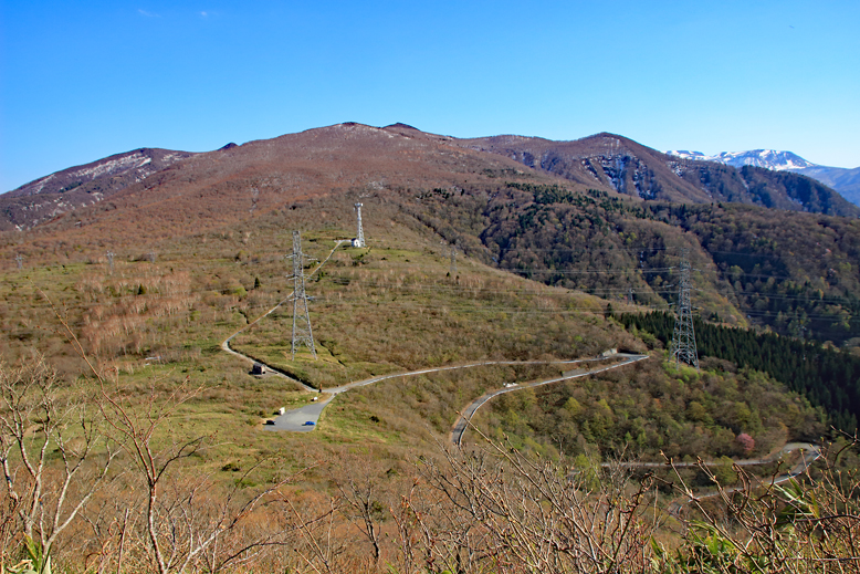 ハマグリ山