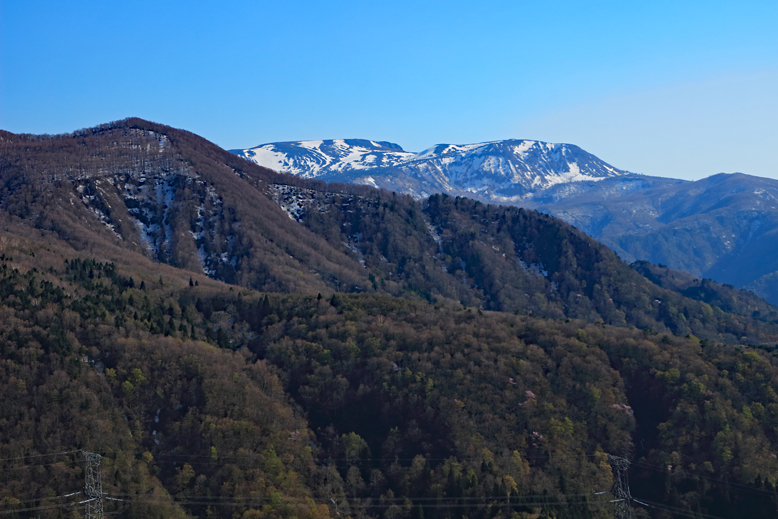ハマグリ山