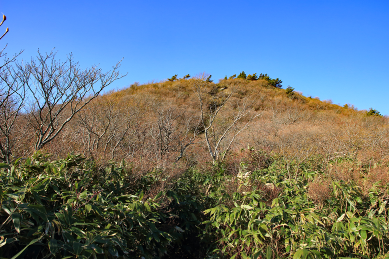 ハマグリ山