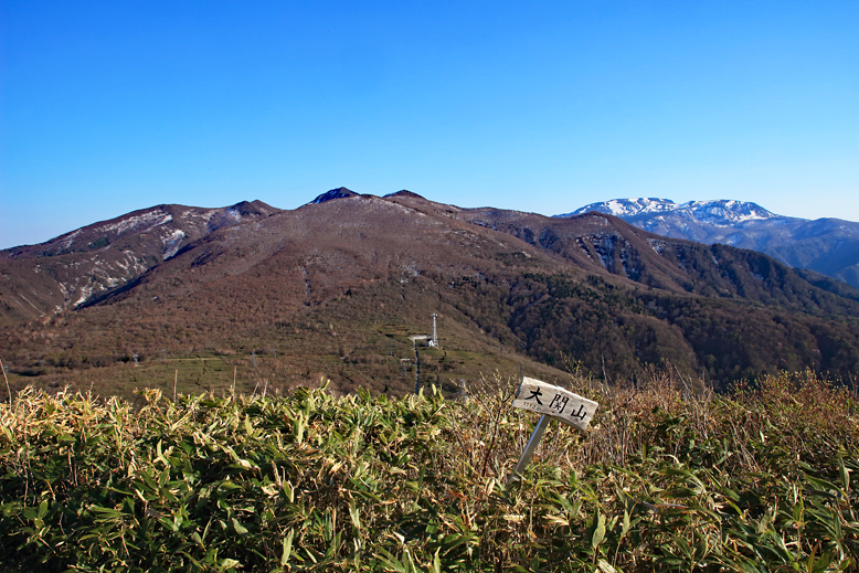 ハマグリ山