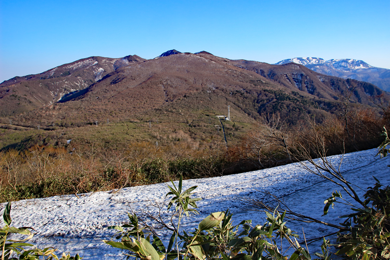 ハマグリ山
