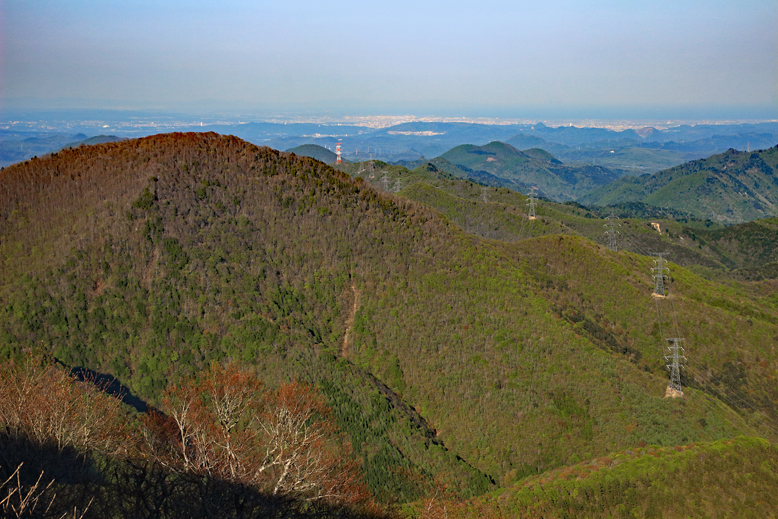 ハマグリ山