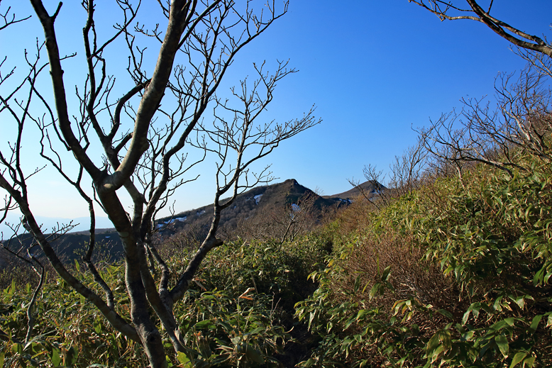 ハマグリ山