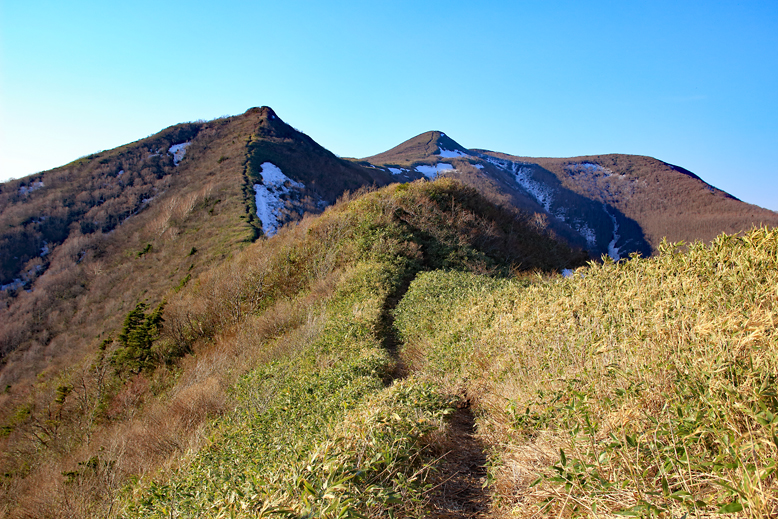ハマグリ山