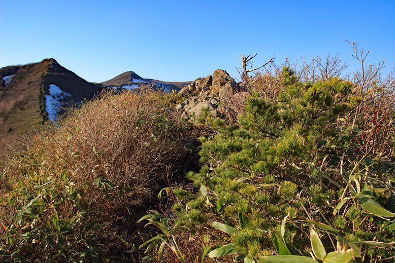 ハマグリ山